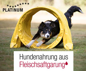 Banner agility2