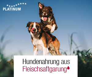 Banner Zuechter 300x250 Hunde Broschuerentitel DE